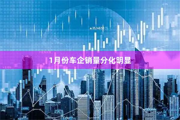 1月份车企销量分化明显