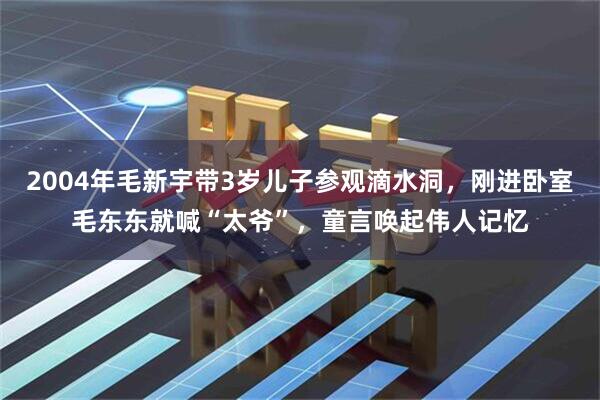 2004年毛新宇带3岁儿子参观滴水洞，刚进卧室毛东东就喊“太爷”，童言唤起伟人记忆