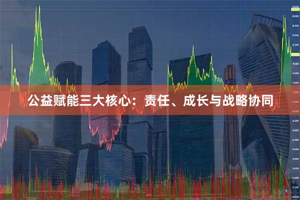 公益赋能三大核心：责任、成长与战略协同