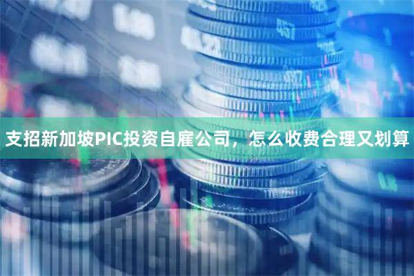 支招新加坡PIC投资自雇公司，怎么收费合理又划算
